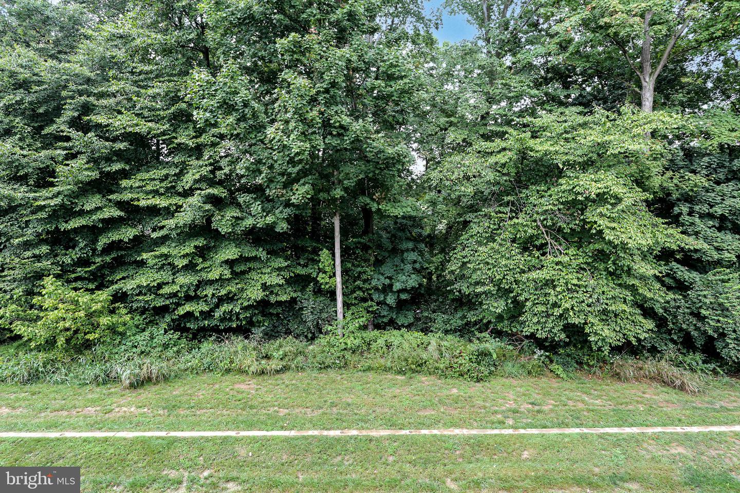 133 Beech Tree Ct Property Photo 39