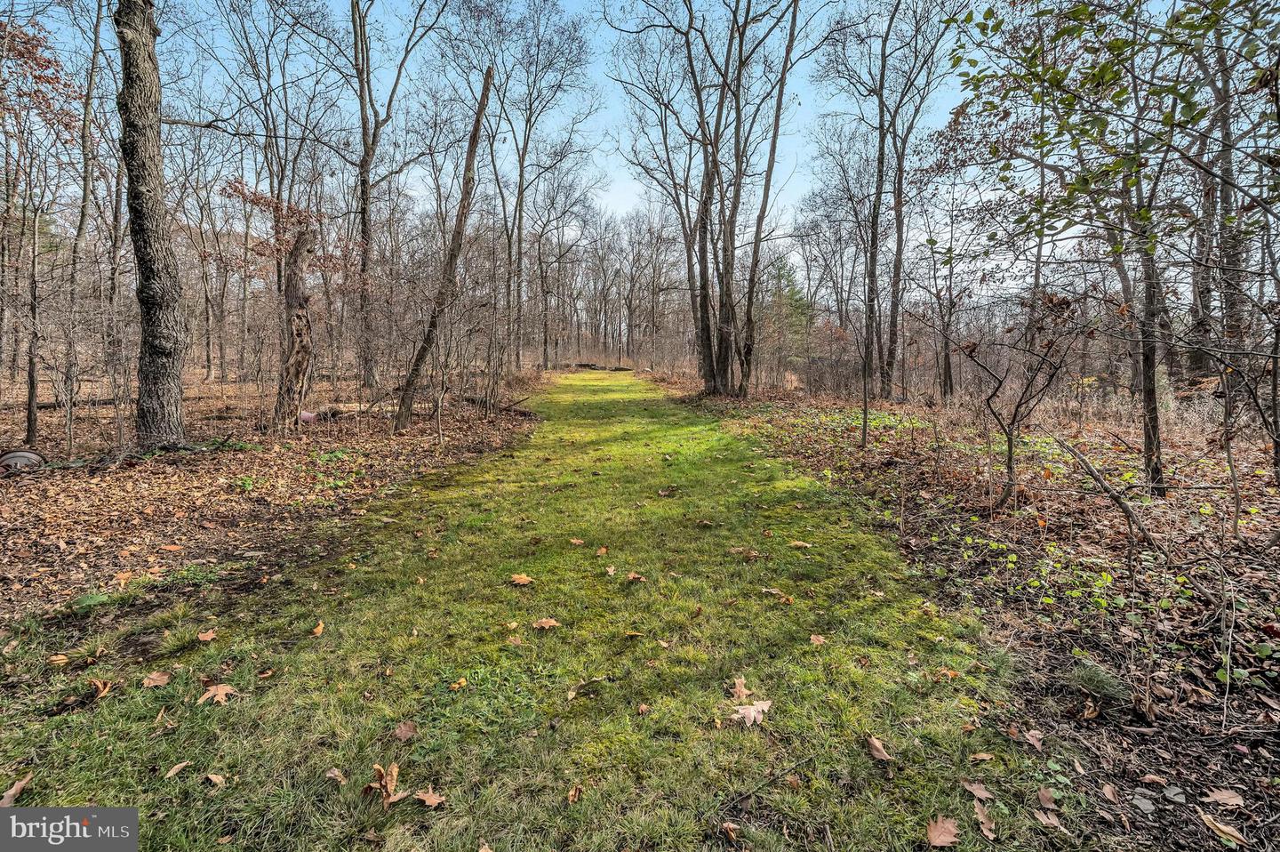 Pittston Area Senior Real Estate Listings Main Image