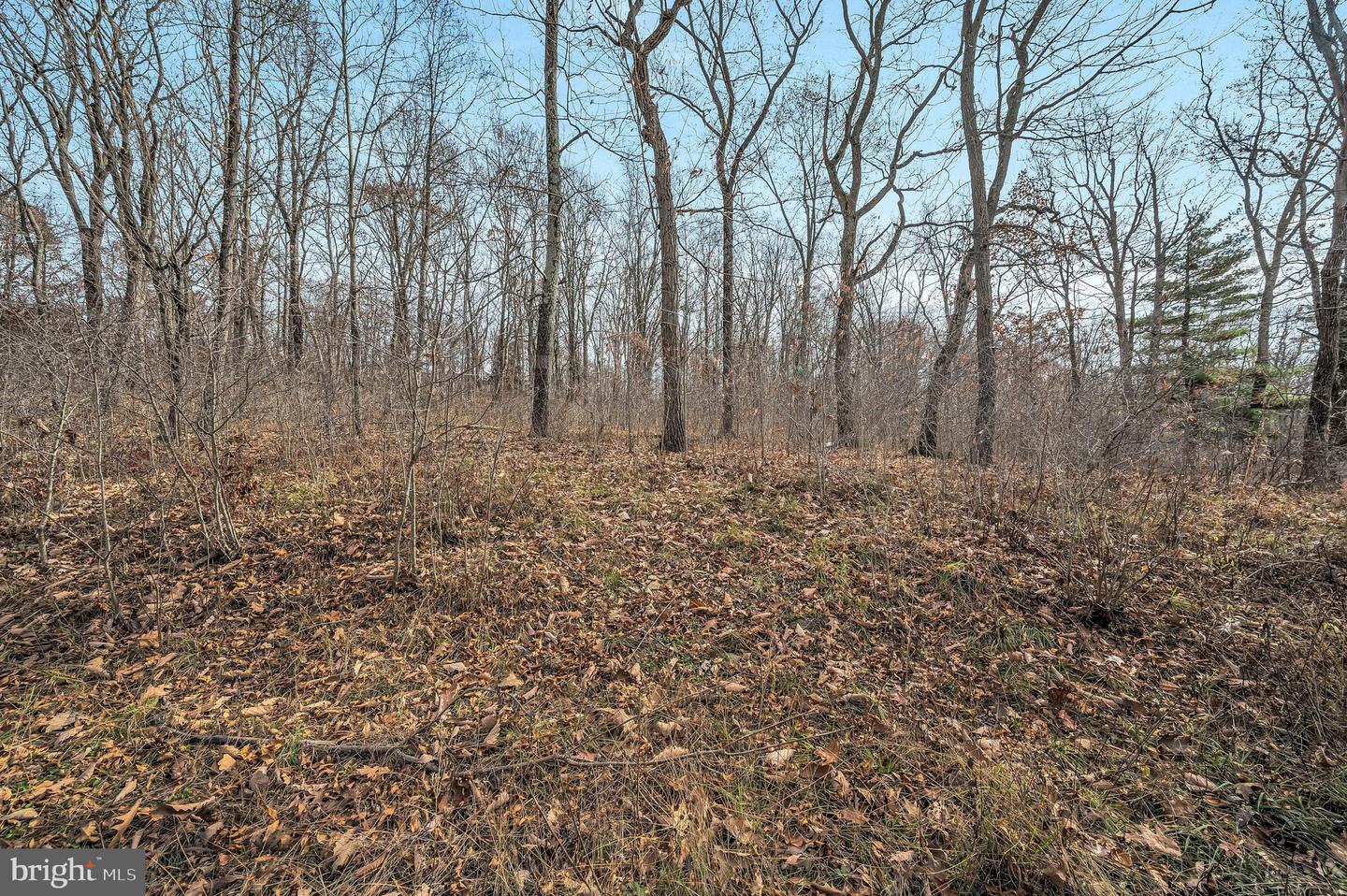 Ziegler Rd Property Photo 1