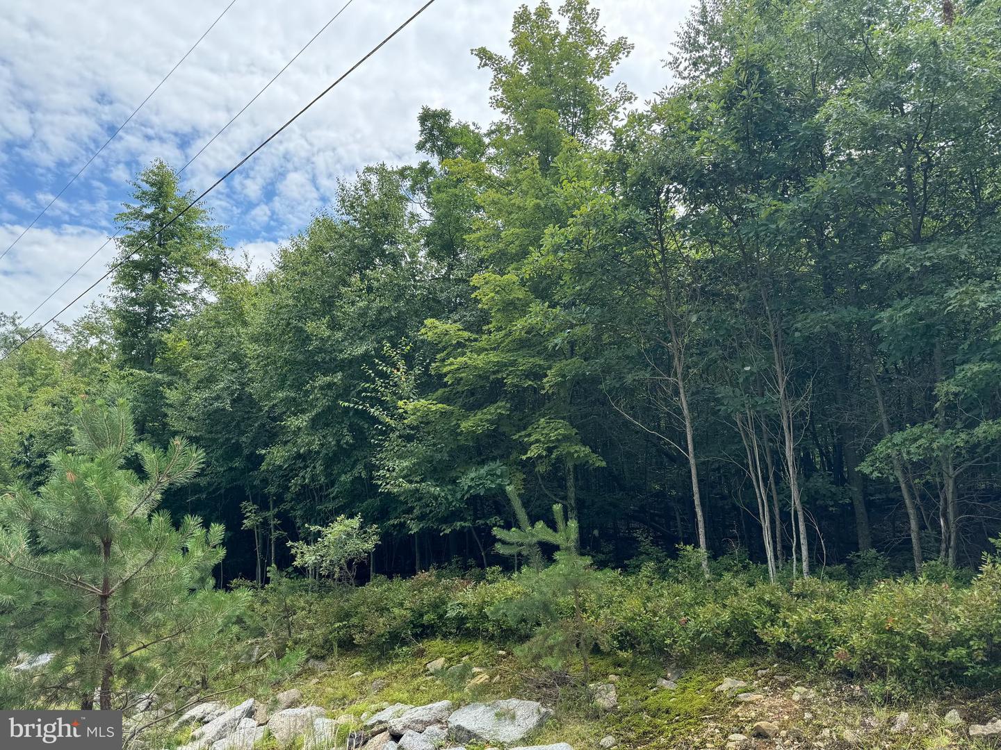 Mv-073 Stoney Mountain Road Property Photo