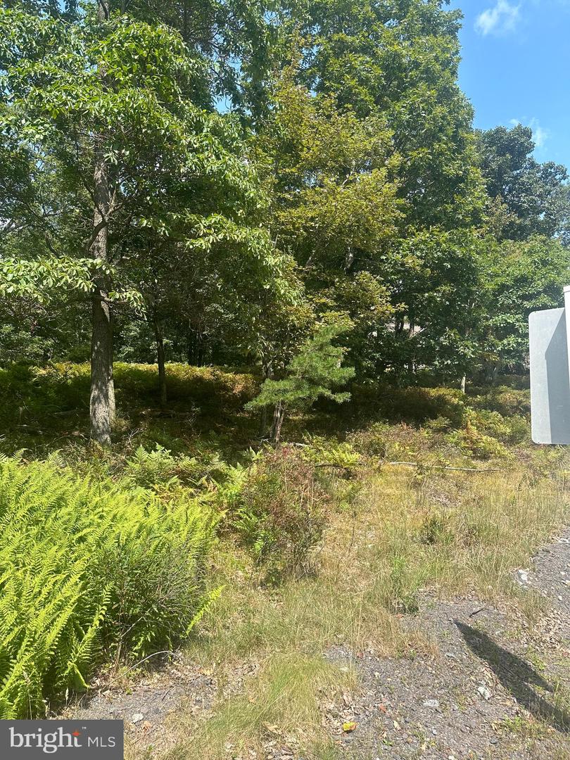 0 Crooked Stick Property Photo 4