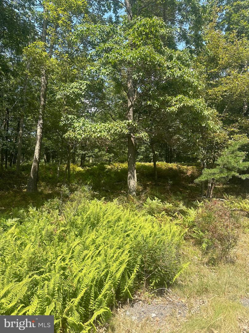 0 Crooked Stick Property Photo 5