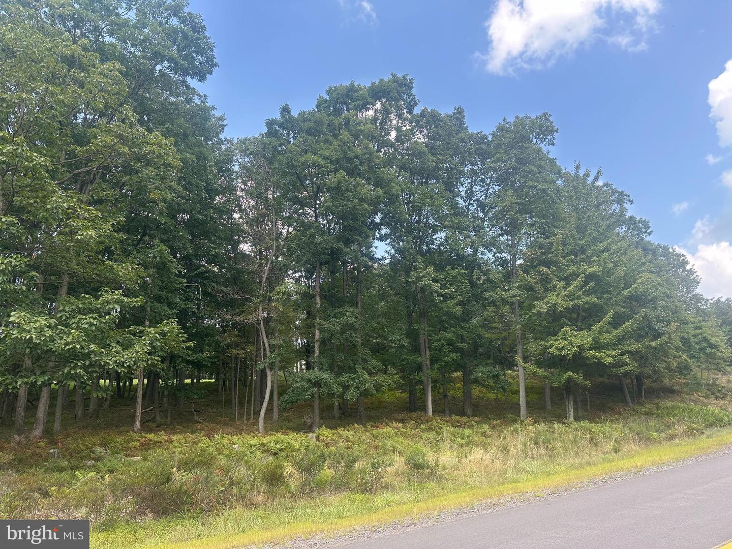 0 Crooked Stick Property Photo 7