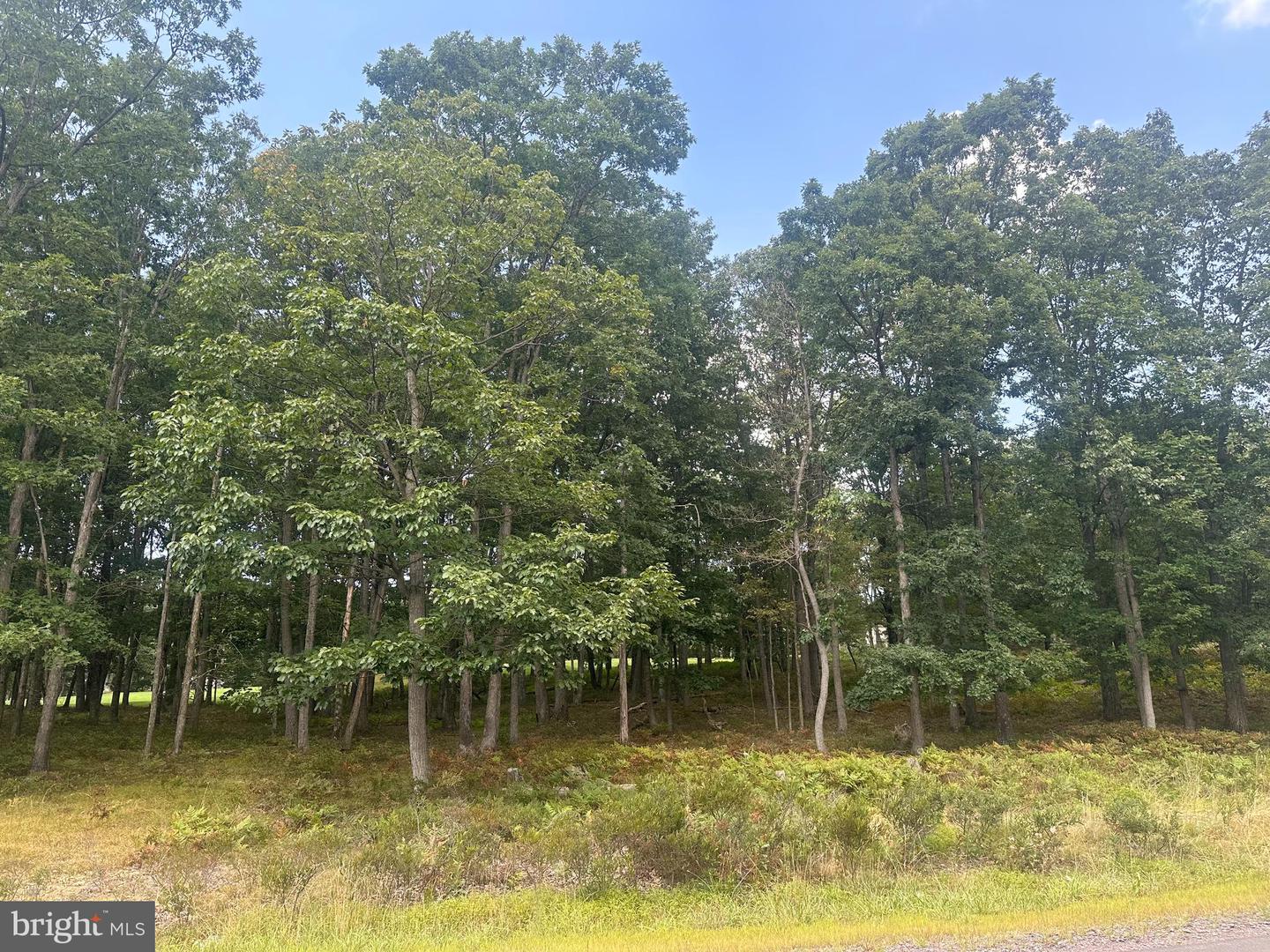 0 Crooked Stick Property Photo 8