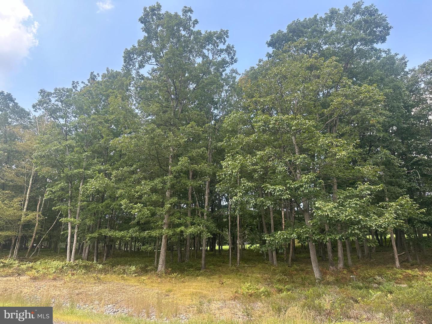 0 Crooked Stick Property Photo 9