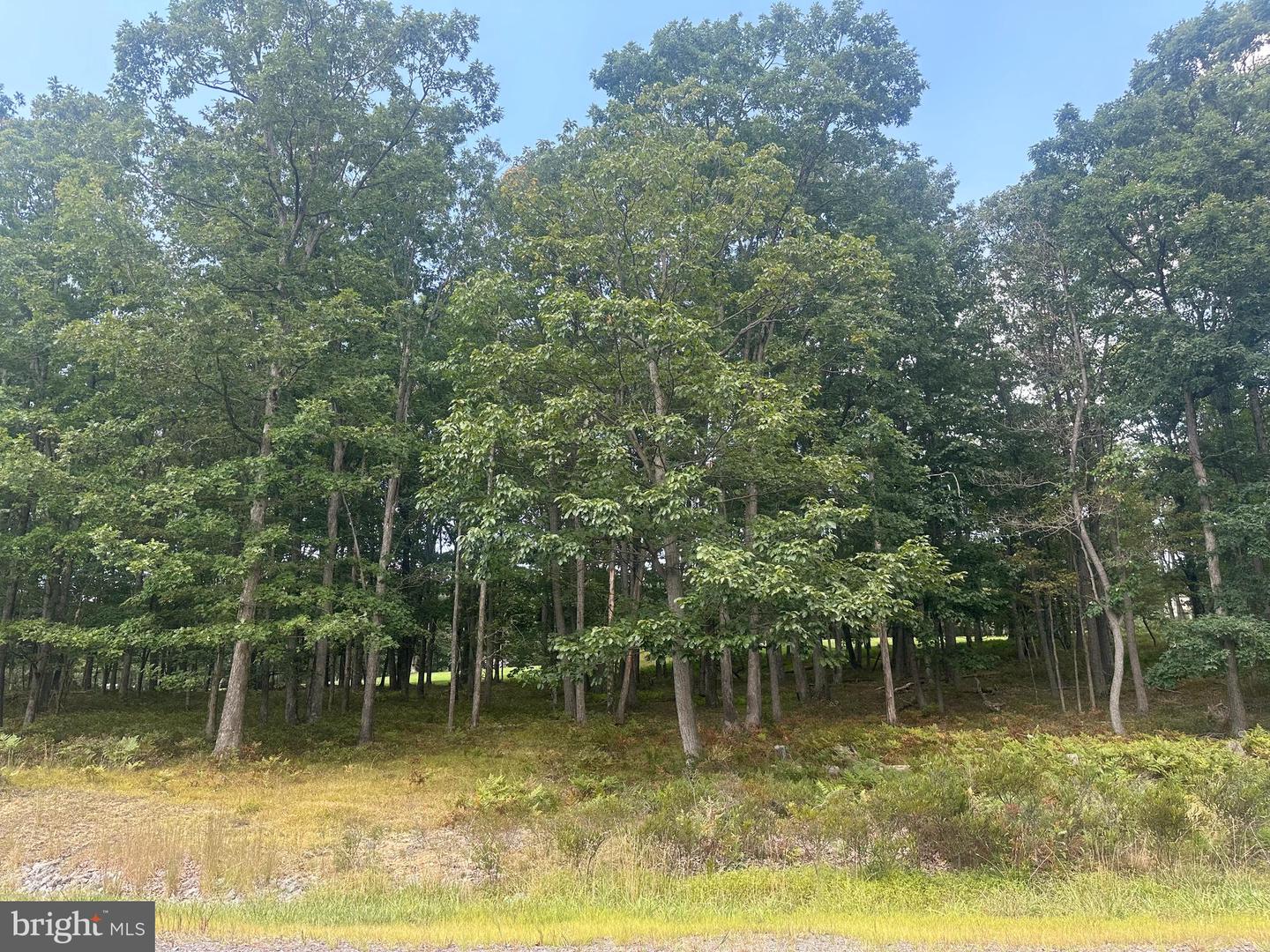 0 Crooked Stick Property Photo 10