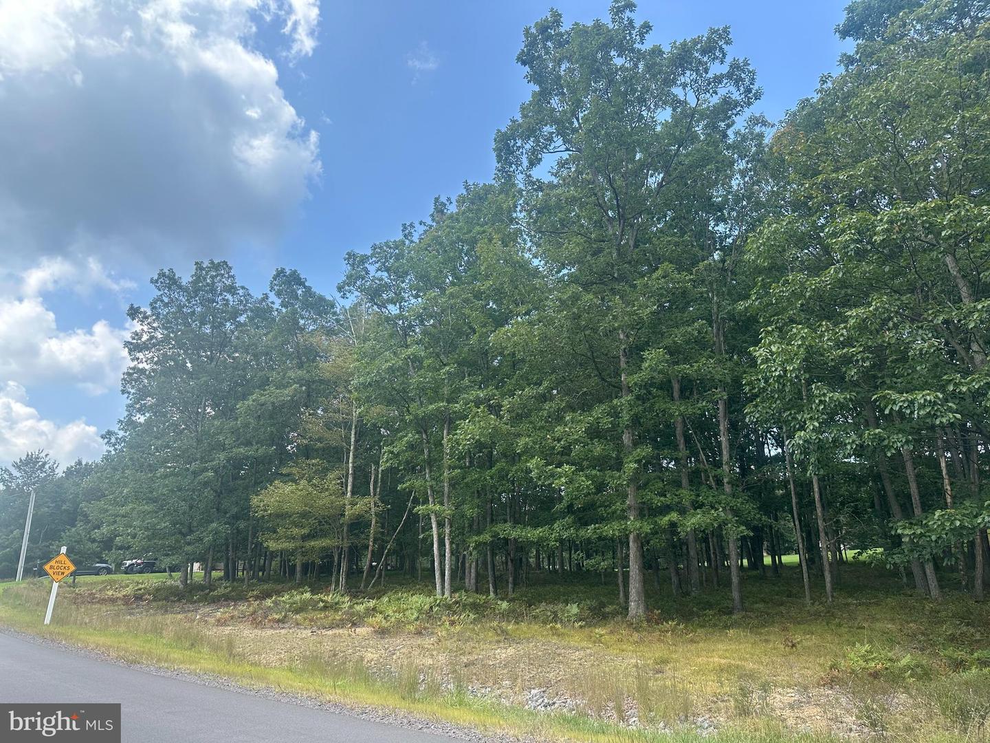 0 Crooked Stick Property Photo 11