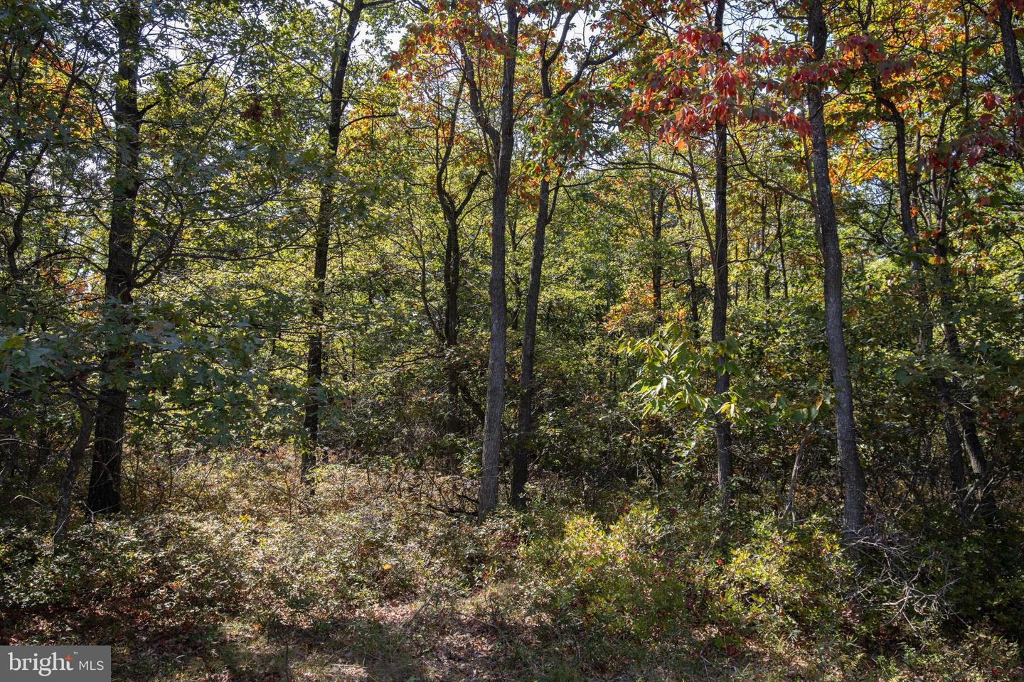 0 Maple Ln Property Photo