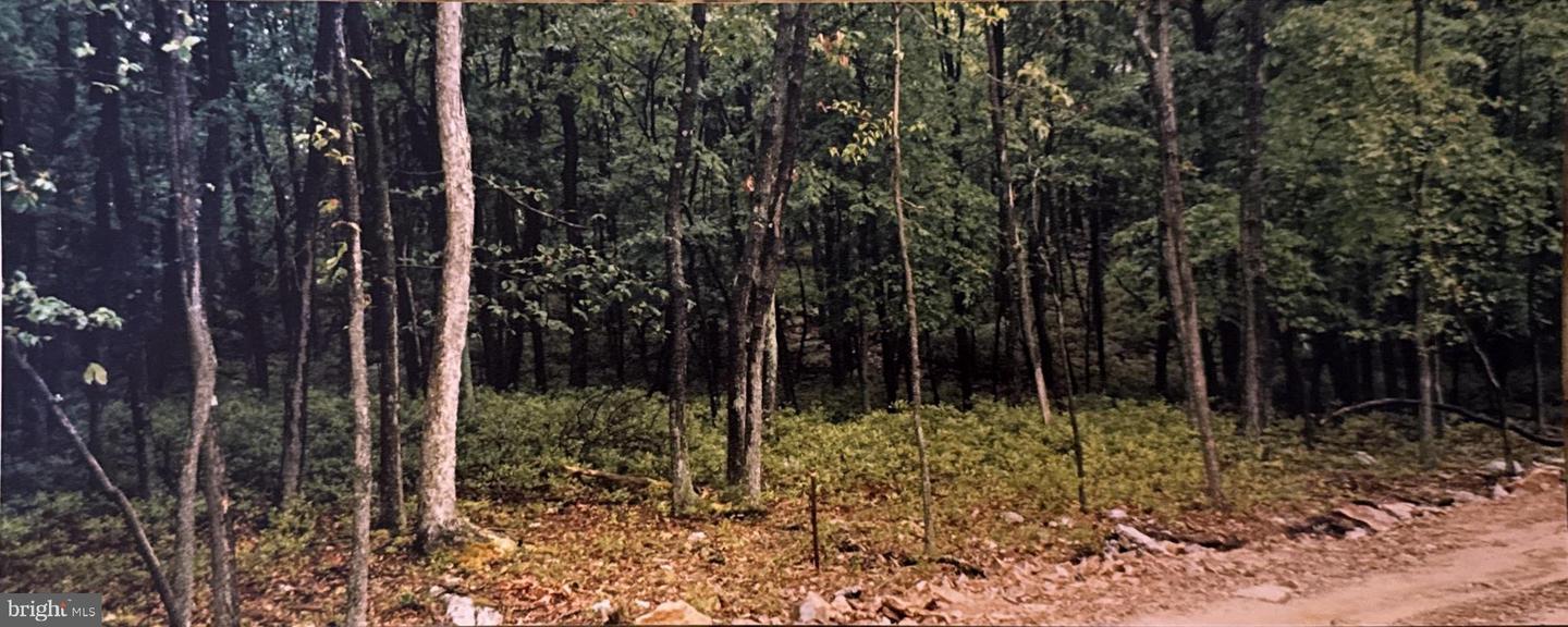 Lot 135 & 136 Corn Silk Ave. Property Photo 1