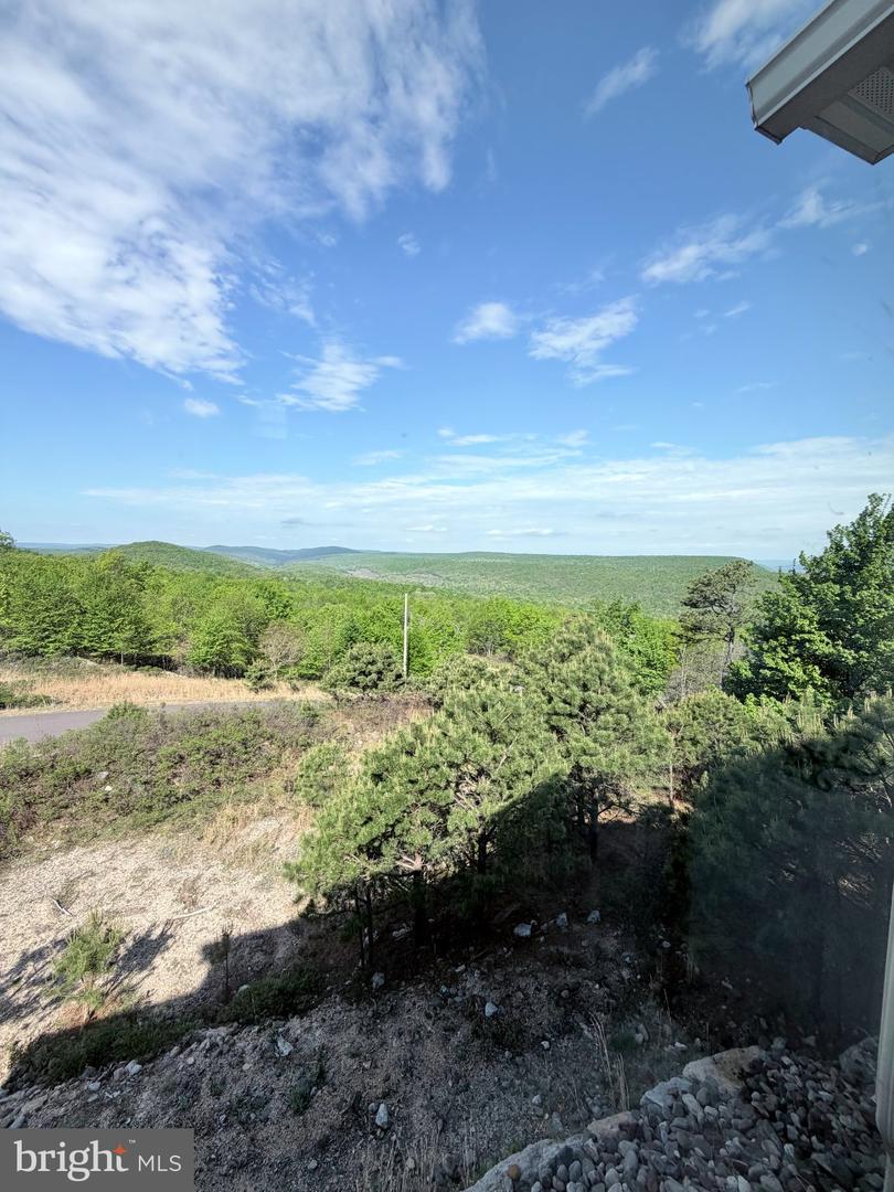 532 Buck Mountain Blvd Property Photo 11