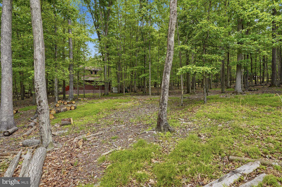 208 Owego Dr Property Photo 11