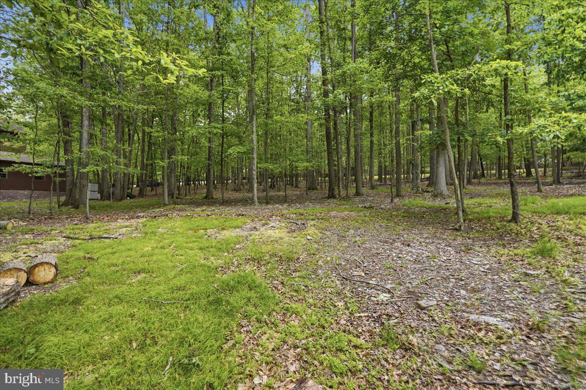 208 Owego Dr Property Photo 12