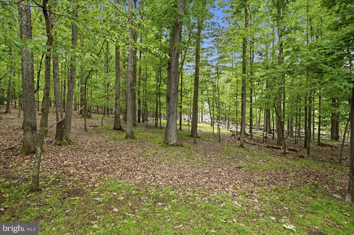 208 Owego Dr Property Photo 13