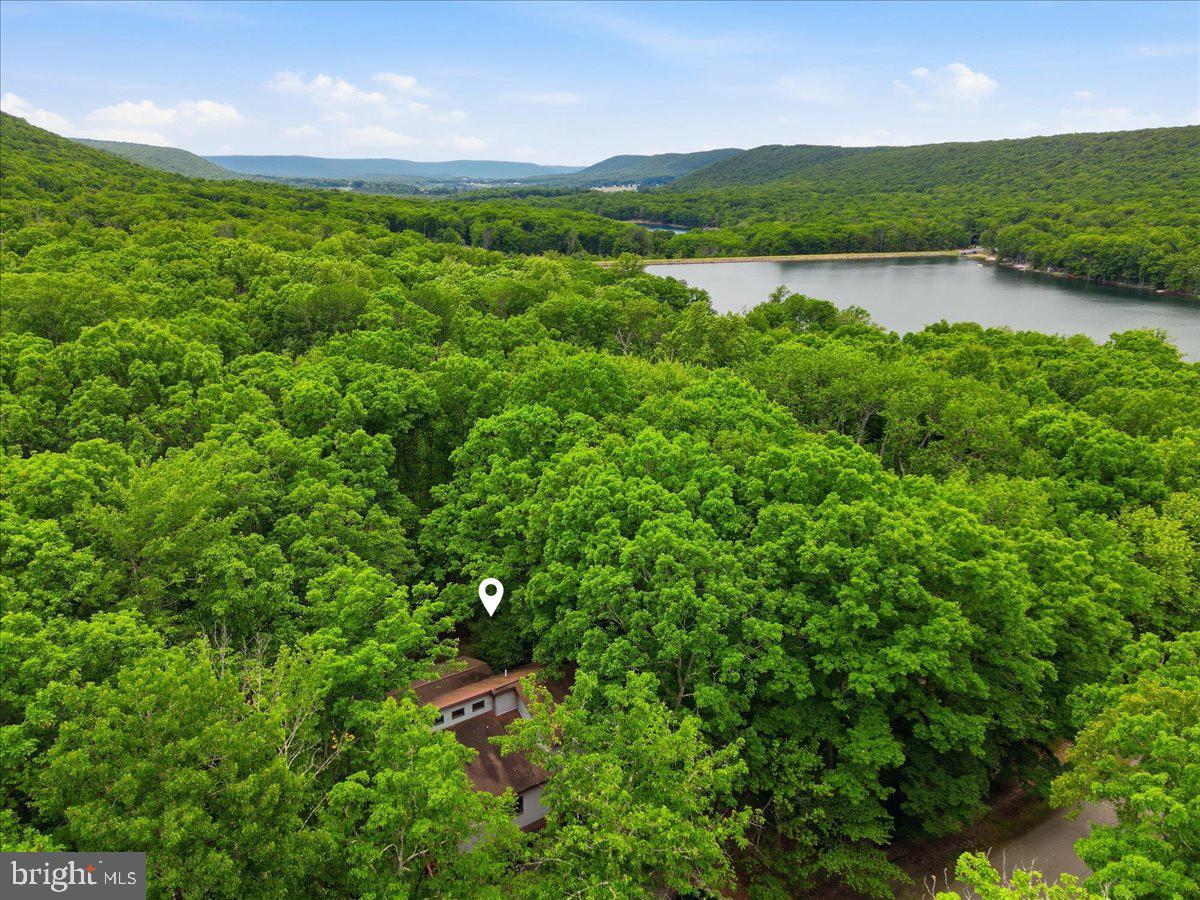 208 Owego Dr Property Photo 14