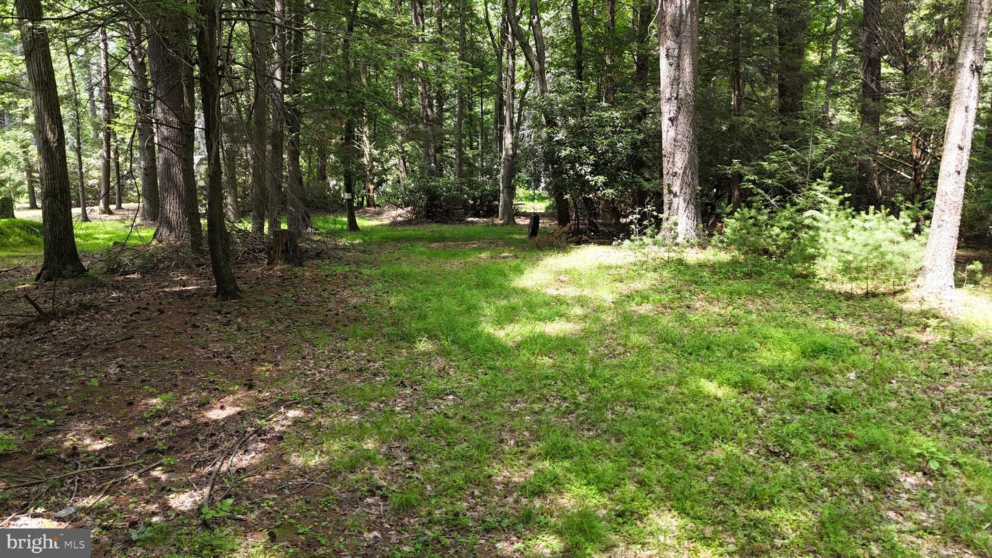 132 Maple Dr Property Photo 6