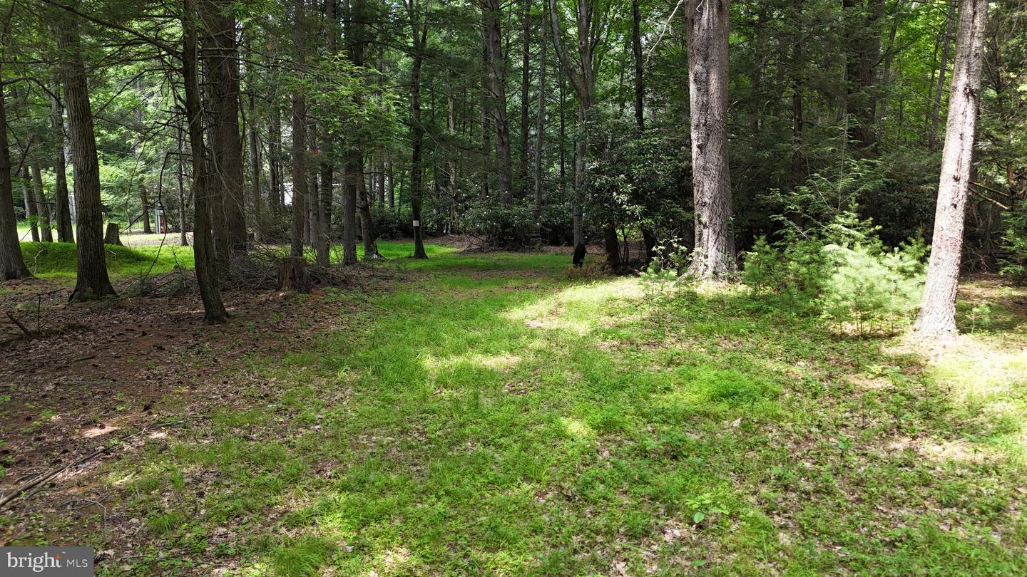 132 Maple Dr Property Photo 7