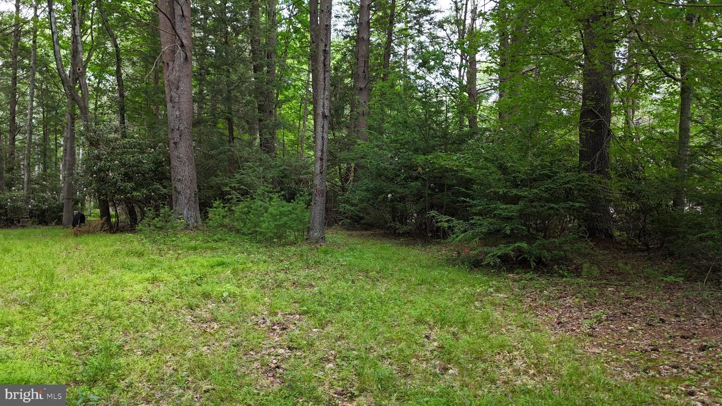 132 Maple Dr Property Photo 9