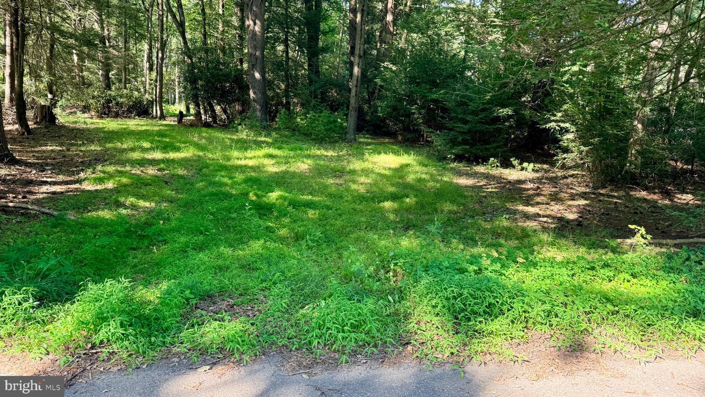 132 Maple Dr Property Photo 11