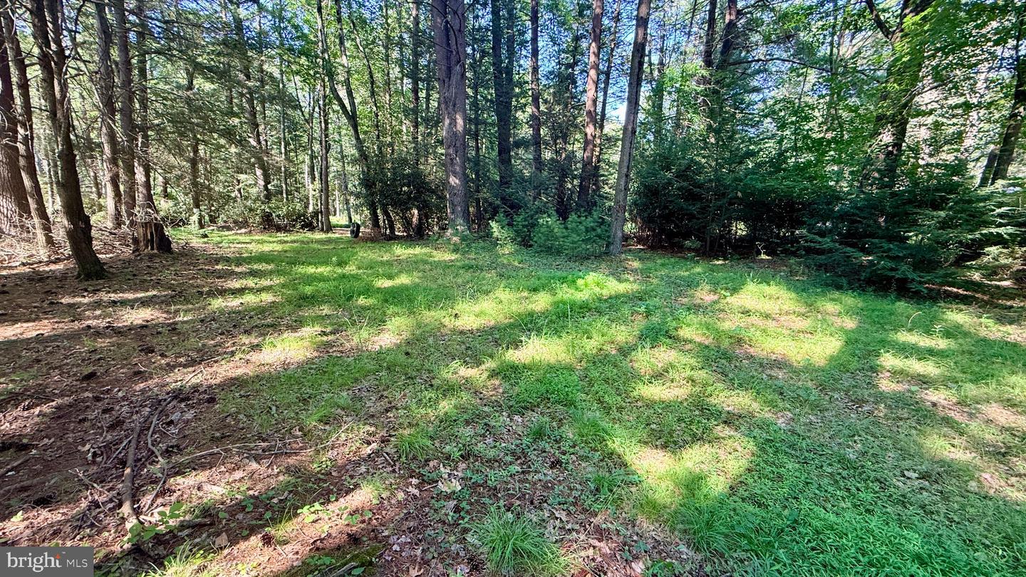 132 Maple Dr Property Photo 12