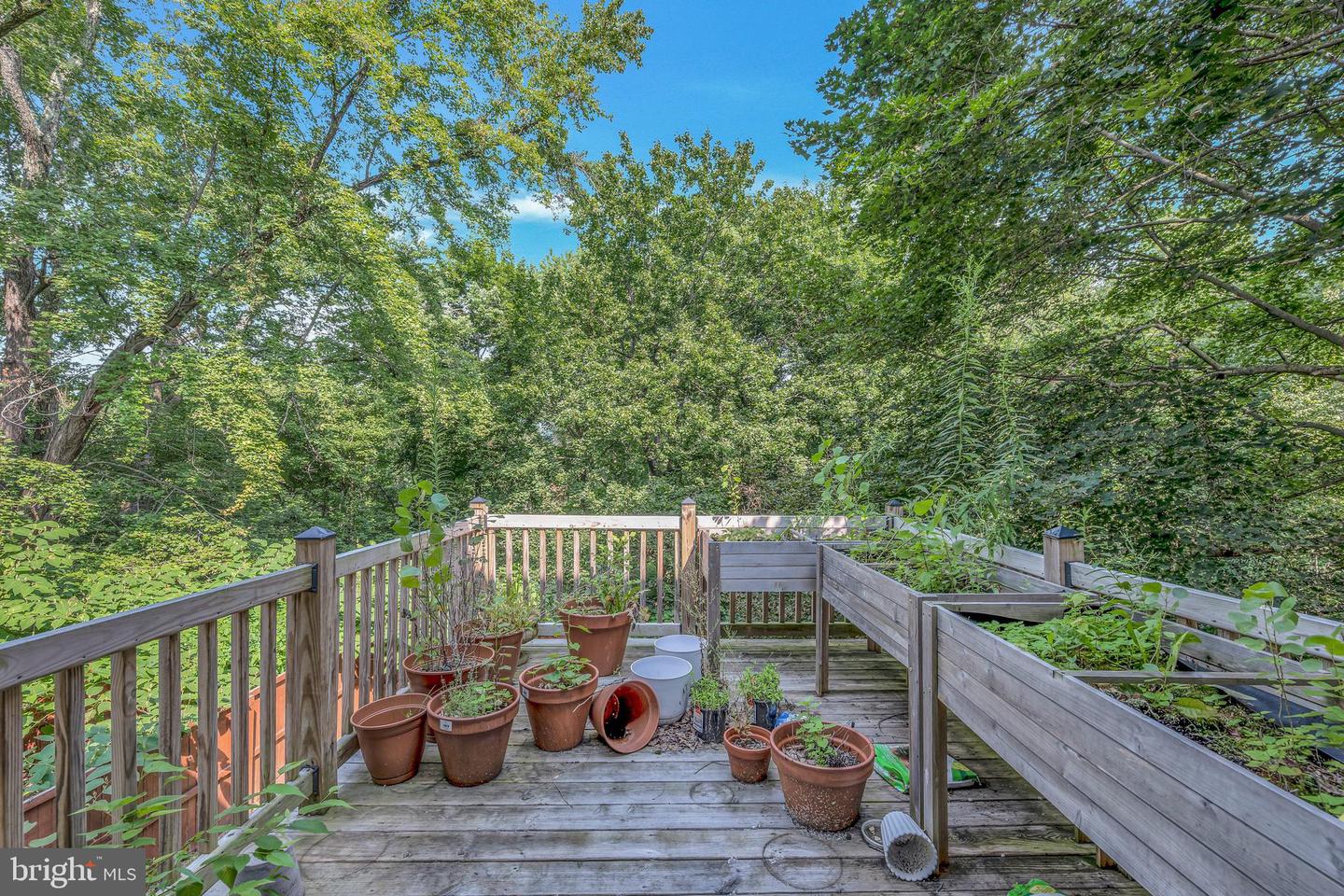 173 Chestnut St Property Photo 40
