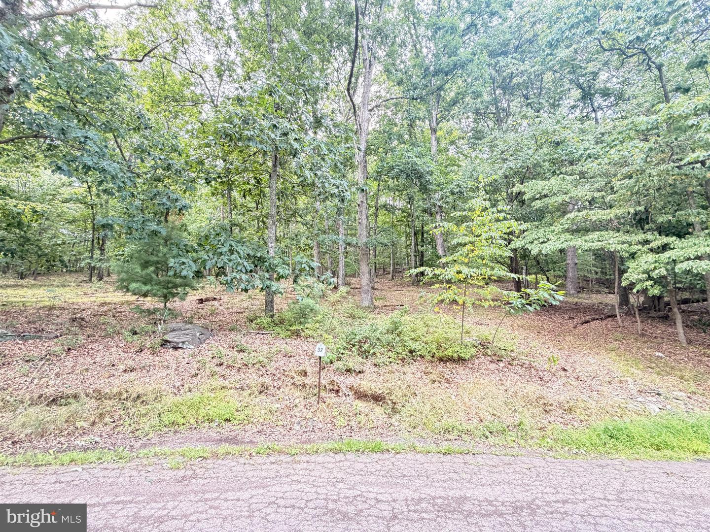39 GOODWIN DR