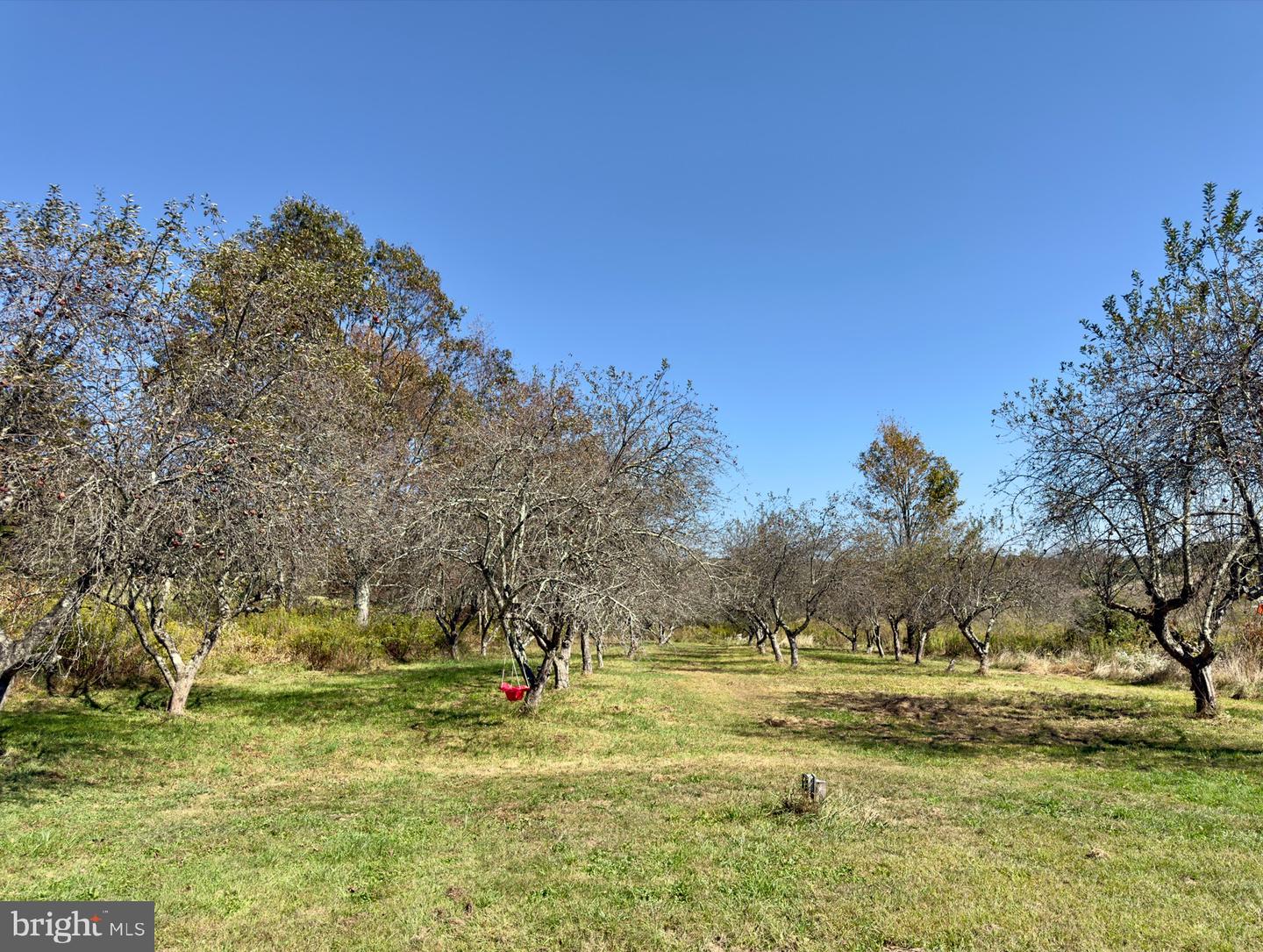 316 Old County Rd Property Photo 5