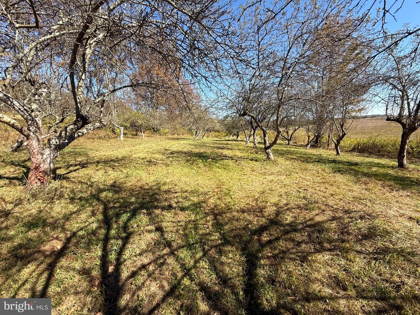 316 Old County Rd Property Photo 16
