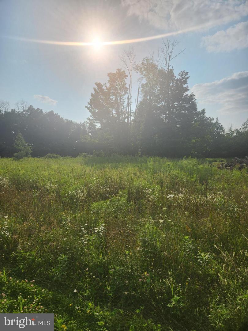 Sr247 Property Photo 2