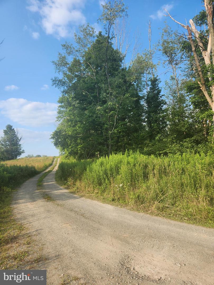 Sr247 Property Photo 4