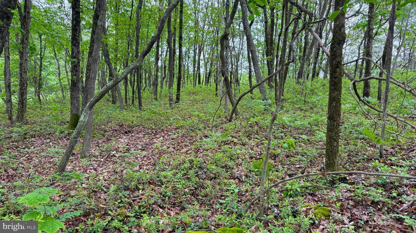 184 Salem Mountain Rd Property Photo 1
