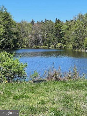 Covenington Lakes Dr Property Photo 2