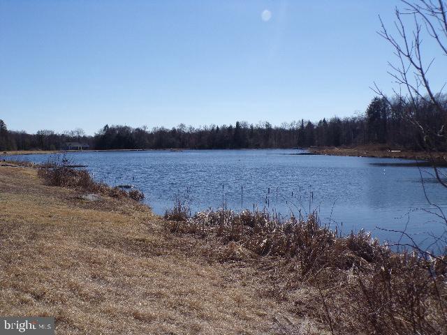 Covenington Lakes Dr Property Photo 6