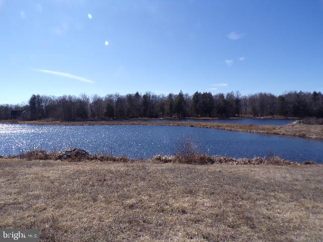 Covenington Lakes Dr Property Photo 16