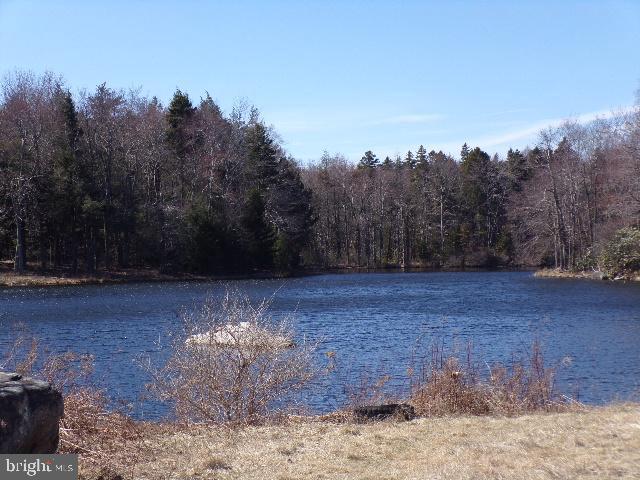 Covington Lakes Dr Property Photo 22