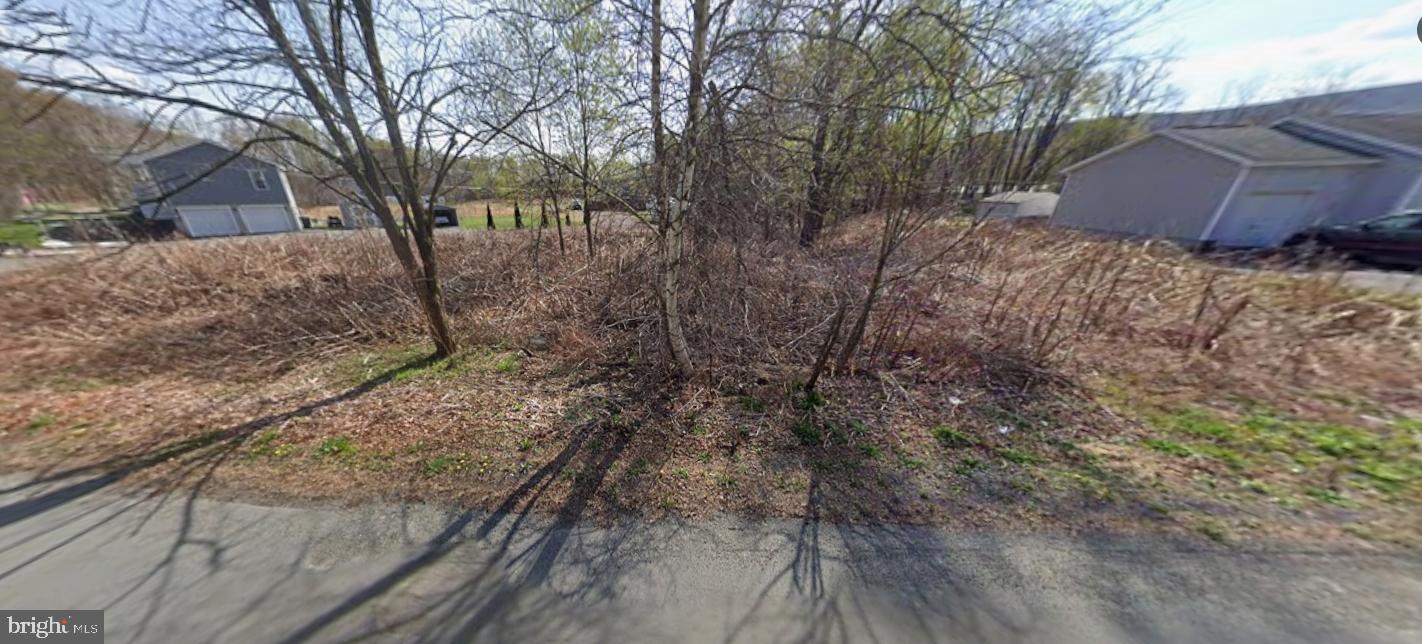 Lower Powderly St. Property Photo 2