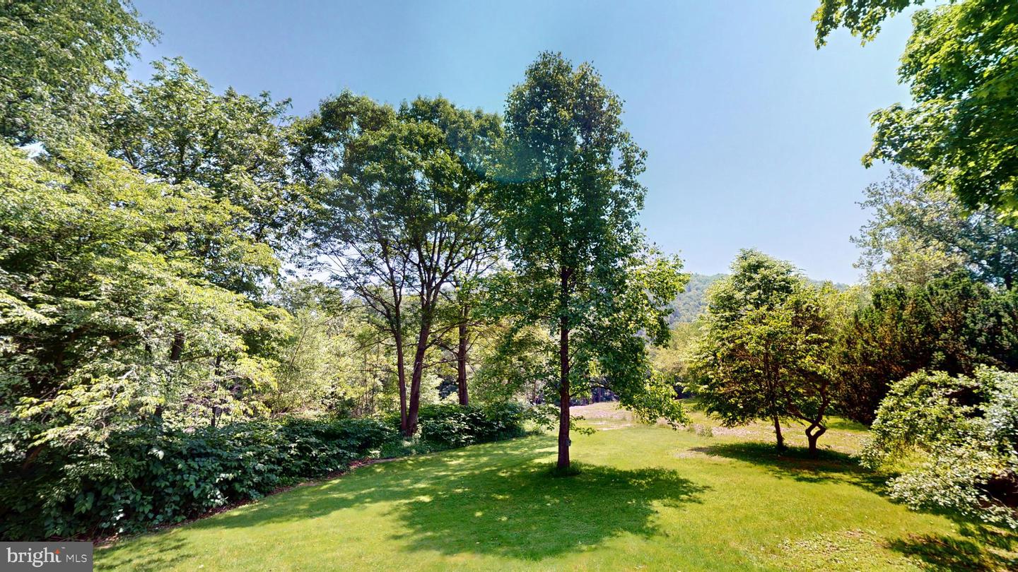 48-50 Trout Run Mountain Road Property Photo 10