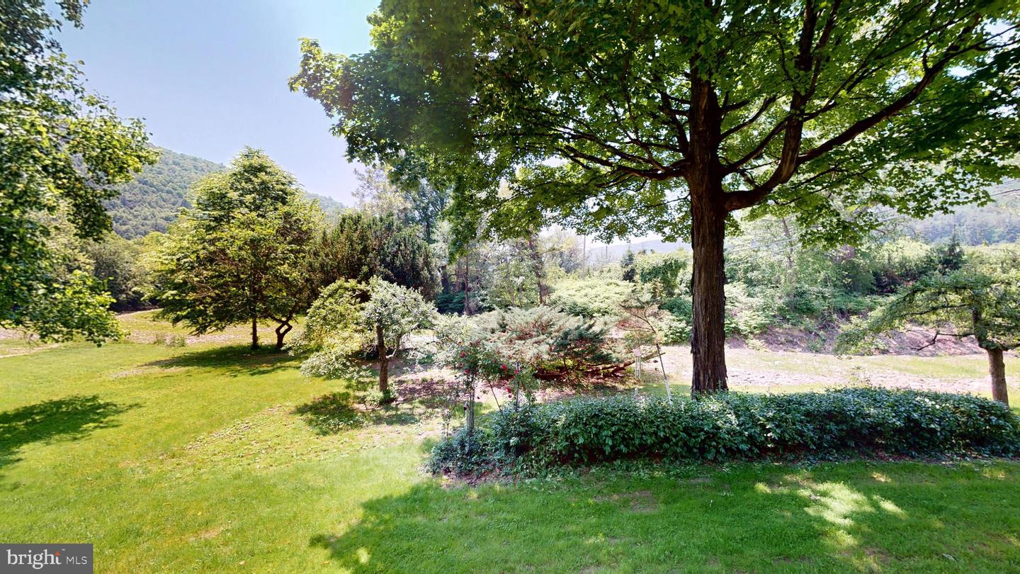 48-50 Trout Run Mountain Road Property Photo 12