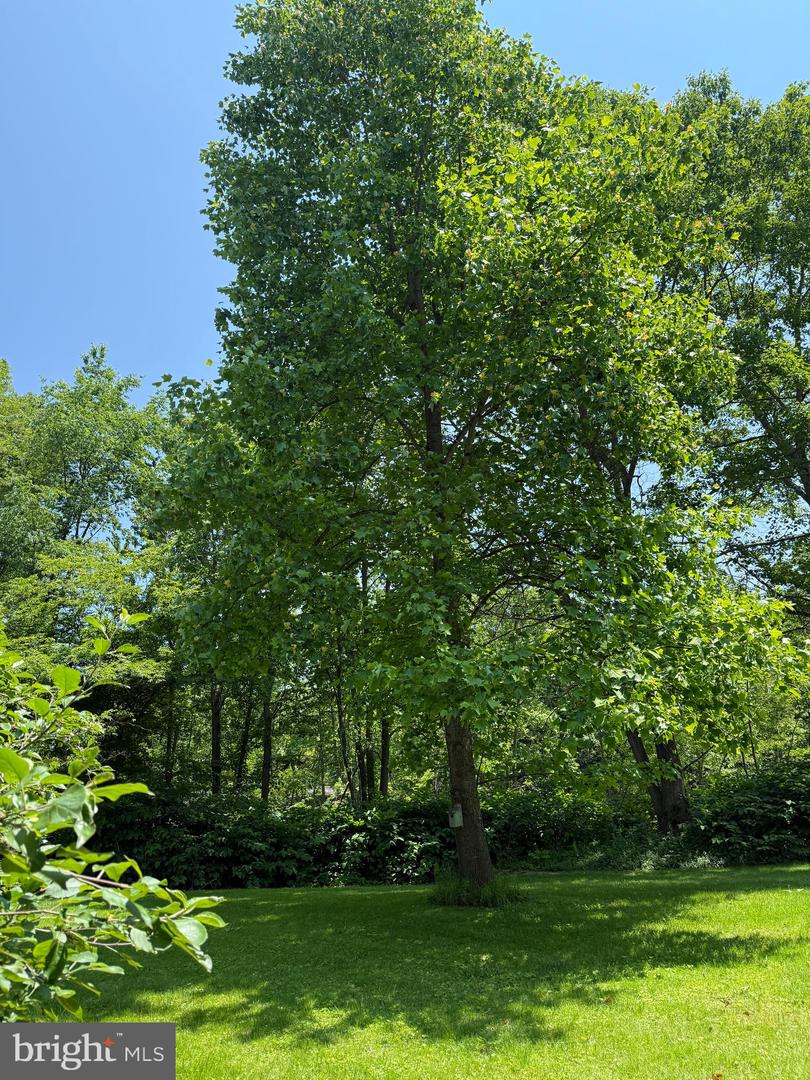 48-50 Trout Run Mountain Road Property Photo 15