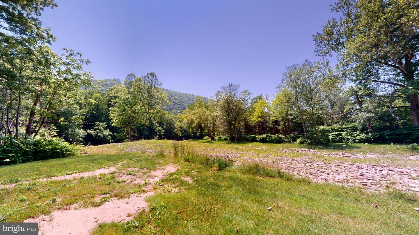 48-50 Trout Run Mountain Road Property Photo 17