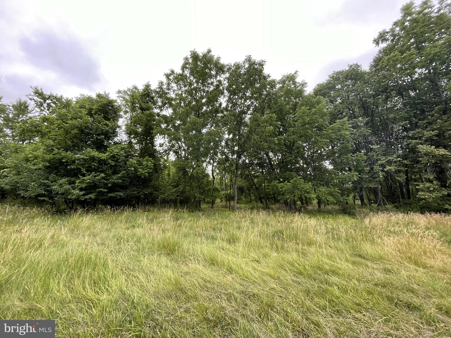 286 Buchert Road #lot 3 Property Photo 5