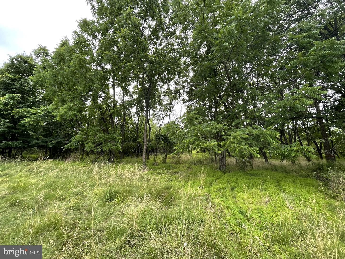 286 Buchert Road #lot 3 Property Photo 7