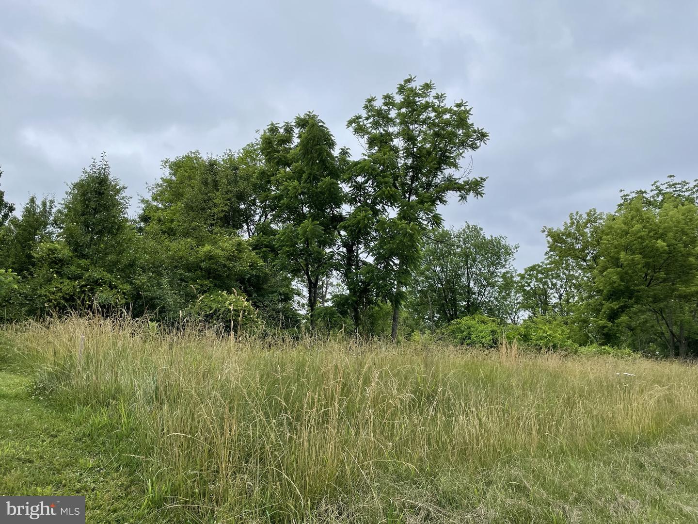 286 Buchert Road #lot 3 Property Photo 9