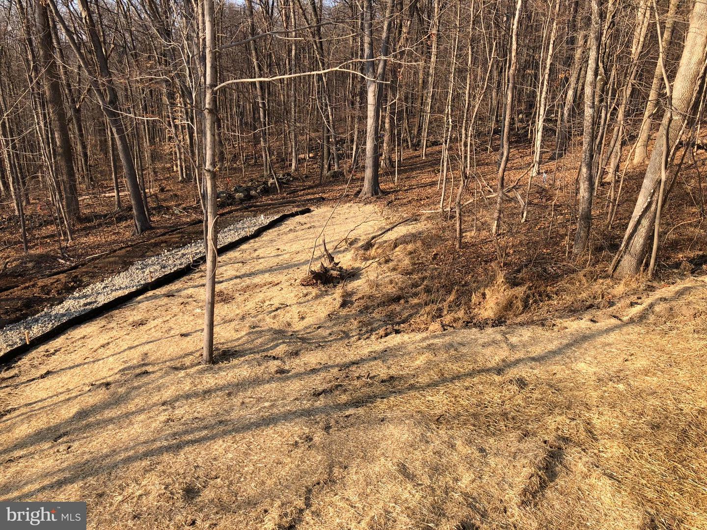 104 Maugers Mill Rd #lot 2 Property Photo 5