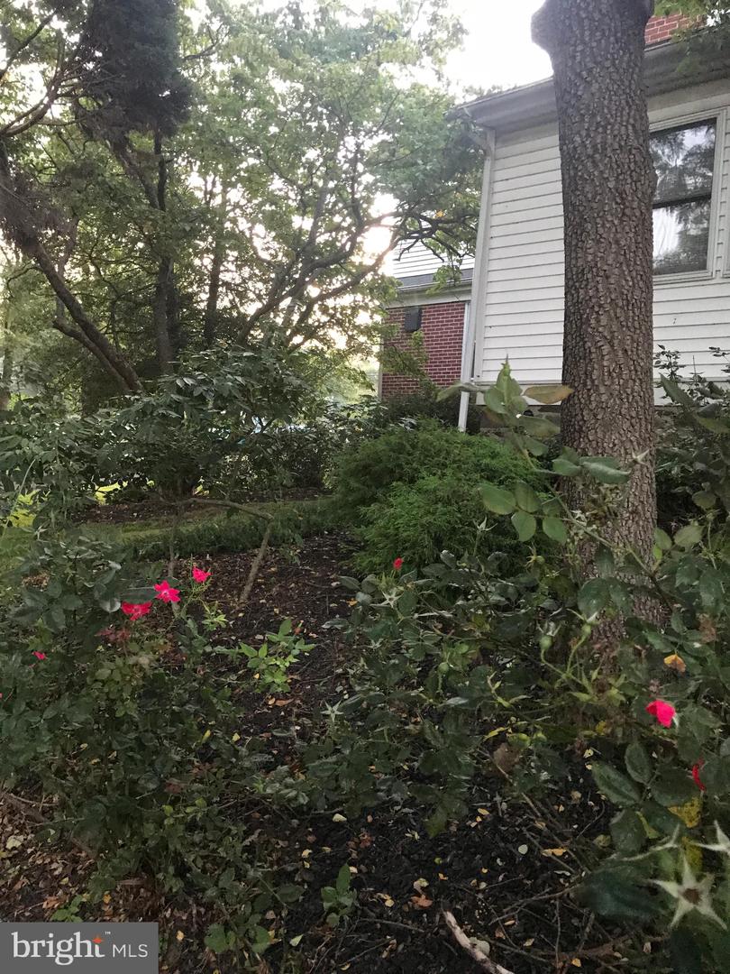 675 Harleysville Pike Property Photo 24