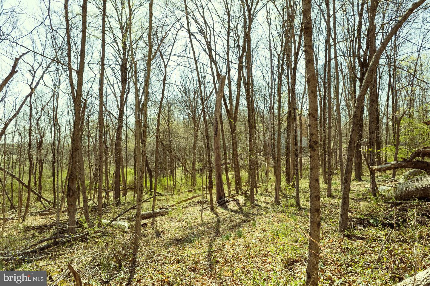 0 Township Line Rd Property Photo 13
