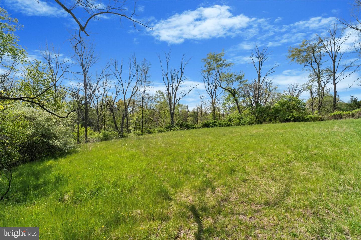 111 Mine Run Rd Property Photo 59