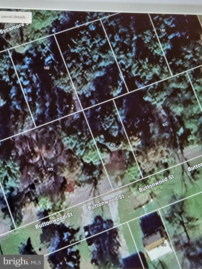 0 Buttonwood St Property Photo 2