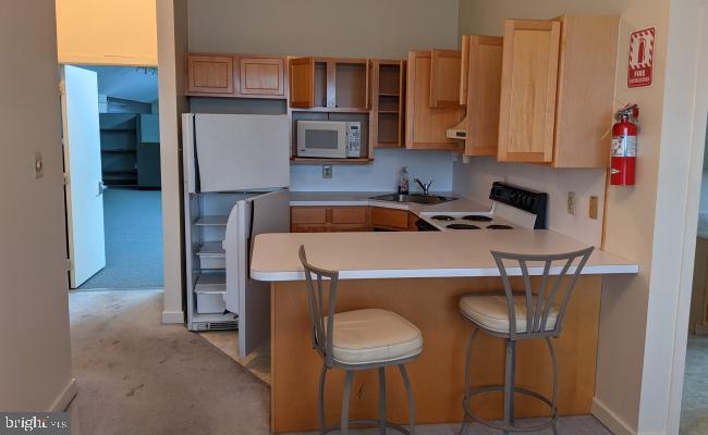 1217 Trooper Property Photo 7