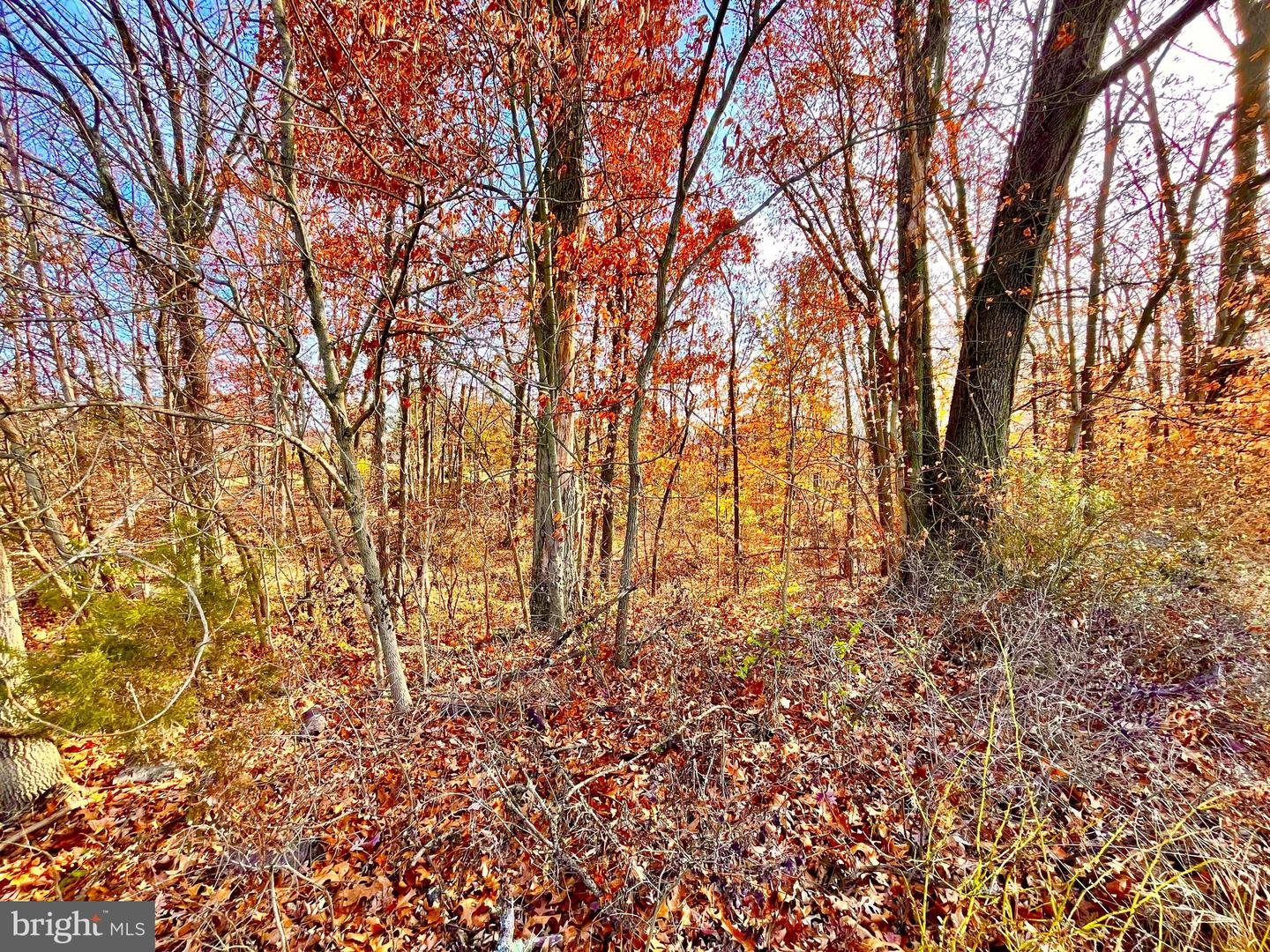 0 Brooke Rd Property Photo 7