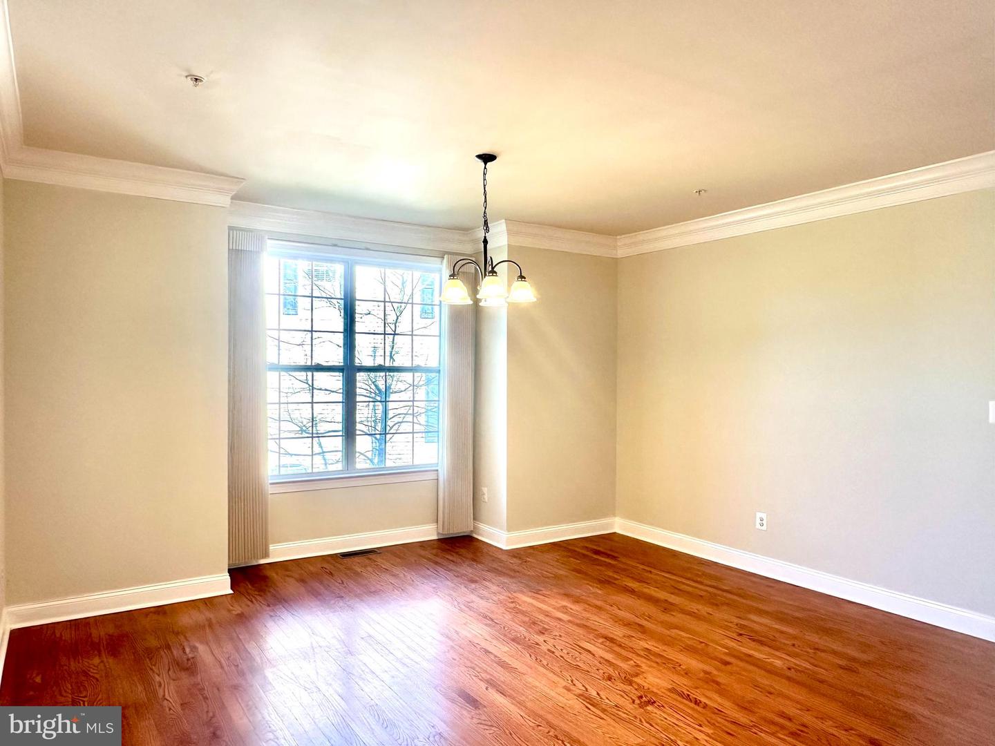 116 High Point Ave Property Photo 4